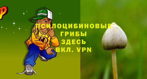 шишки Абдулино